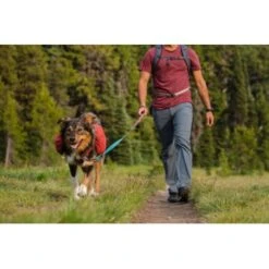 Ruffwear Flat Out™ Leine Blau/ Blau -Ruffweal Verkaufe 301e01aee973227587232acfee5c9b2d71e52668 1364254 de DE def57e85246601bac5529b422afe6912dd25c79c9pNtmU