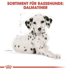 ROYAL CANIN Dalmatian Puppy 12kg 14 ROYAL CANIN Dalmatian Puppy 12kg -Ruffweal Verkaufe 3036b86ea4ce88871062b93c88ca9a8de810c8ed 68024b37a164808455acf8365f33d66401b0231f