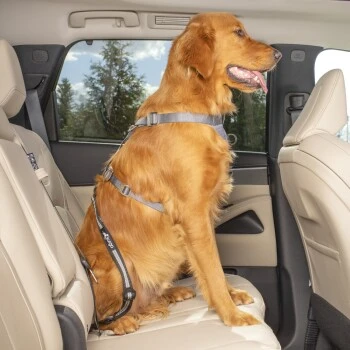 Kurgo Swivel Tether Hunde-Sicherheitsgurt 6 Kurgo Swivel Tether Hunde-Sicherheitsgurt – Bild 6