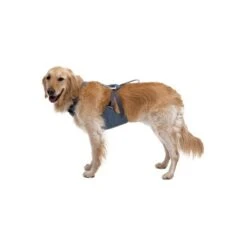 Ruffwear Auto-Sicherheitsgeschirr Load Up™ M -Ruffweal Verkaufe 3093b420ea874973a4896ceec07c49a8968d3fd1 1670640 de DE 10f6ab706b1f33e82246cce93c7d50d48e826c56cynWL4
