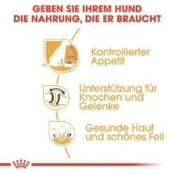 ROYAL CANIN Labrador Adult Sterilisiert 12 Kg -Ruffweal Verkaufe 318ba0ef082f19d7f189daa60ce58b5b82da72b0 0f8c00585e5d0a1ec6125a08e6f6194a30028a03