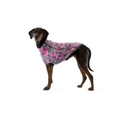 Ruffwear Climate Changer™ Fleece-Jacke Für Hunde Lila/ Grau XS -Ruffweal Verkaufe 31d08c48d82e56fa988a8efaad00ce115bf58a1e 1369648 de DE 0f7eaefedef9dc647cc2252d60c10845d7c68c4e58IpMU