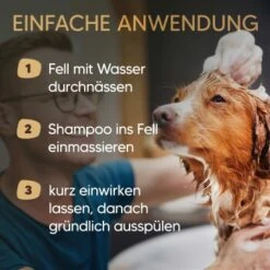 Pawlie's Hundeshampoo Für Langhaar -Ruffweal Verkaufe 31fb70412552456c4a02729fa462588fcf0d4e5b 1626203 de DE 25d5ddf898b492fba858f49f2f6f7a8a36500b93qNDG8c