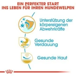 ROYAL CANIN Französische Bulldogge Puppy 10 Kg -Ruffweal Verkaufe 34ed88d56e0be1cc0a286c4ecd66a1af31d1100e 2bf488555545c9acb1d0d947f06389b7a3324357