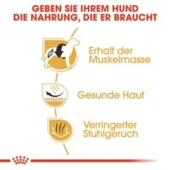 ROYAL CANIN Französische Bulldogge Adult 9 Kg -Ruffweal Verkaufe 3bd4ba1c987a0bad2d63e017fefb9a6a0e04ff1d f46cfcd28b4bf79ae86735da4bc649ba59405c77