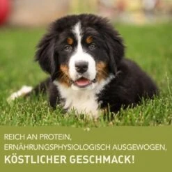 ACANA Puppy Large Breed 11,4kg -Ruffweal Verkaufe 3c2c510ecc9e994aa3b25ef585c782532e177b8d 1236218 de DE Acana Large Breed Puppy Benefit GERMAN 1