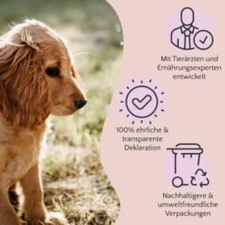 FAVLY Petfood Premium Naturkauartikel Rinderpansen 1,05 Kg -Ruffweal Verkaufe 3c7dea888d41e787be14f9a3e7d3063c7c5e0f1d 1475220 de DE a2c9f8d86d80fc90ca8f9c923a08051ec130ef8dgxl8xk