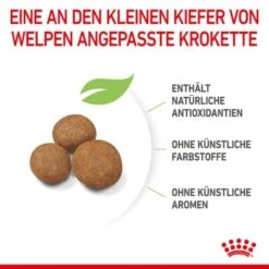 ROYAL CANIN Giant Puppy 15 Kg -Ruffweal Verkaufe 3cbb78f869a8097ac76583e8aff62d2c66e4991d 3182550707046 6