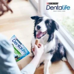 DentaLife PURINA Hunde Zahnpflege-Snacks Großpackung Medium, 84x -Ruffweal Verkaufe 3d22bf74a99660236ce1548620fac8aa3ac8818f 7dac1d18ca011066644ad899fee9fa3bcb5974f5