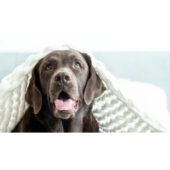 Mammaly Relax Time 110g 7 Mammaly Relax Time 110g – Bild 7