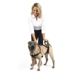 PetSafe CareLift Hebegeschirr Für Hunde Beige/ Schwarz M -Ruffweal Verkaufe 3e9e0cb26f5dcbf06323f0d4cd66351348dd5dde 1481153 de DE a6f649d5f5d8e88fc5a27e7685197febe1fe24f77QaBT4