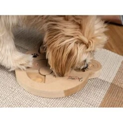 TrendPet Intelligenzspielzeug Intelli -Ruffweal Verkaufe 3eb4d41034c0f3313929136157c4052ccd4ea926 1260161 de DE d146e7e756f1415d035fb0f48553c56a33aee61amIbGAB