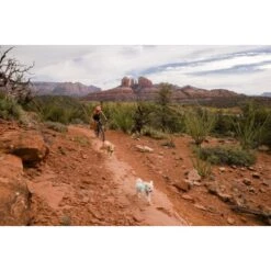 Ruffwear Swamp Cooler Zip™ Kühlweste Für Hunde Pink XL -Ruffweal Verkaufe 3f53abbb449b533ae19bdcc983422a810c1a6523 1639652 de DE 69e04235fc73e7ad617b0a7c576e77147e0d0f9aiqnSME