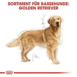 ROYAL CANIN Golden Retriever Adult 12 Kg -Ruffweal Verkaufe 3f6d567572cfb1e47a6150727d5c2bca6786edbc 449b3ff968c54d107edb2d725c3518ba098a60bf