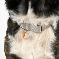 THE DOG IDEA Boho-Chic Halsband Ivy L 8 THE DOG IDEA Boho-Chic Halsband Ivy L -Ruffweal Verkaufe 408ee4922683c869ff3d5c80037608142ac784fa 1662813 de DE f1cb924f7e4bbede434464b92844c6ba826fe8efNRNdW0