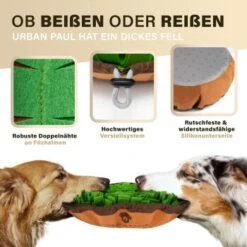 URBAN PAUL Schnüffelteppich - Grün -Ruffweal Verkaufe 41b69e30147446053fcf1ef3a5c0ef4e586c3637 1477263 de DE f3d4dc055420076a5d6665754e59033e977ead92pVbA3s