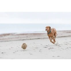 Trixie BE NORDIC Tau-Ball 18cm -Ruffweal Verkaufe 425e9ce320653651c720fb86d129e2e950da8863 1317741 de DE Trixie be nordic Tau Ball wb 5