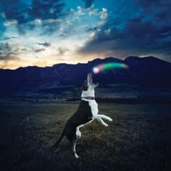 Nite-ize Nite Ize GlowStreak LED Ball -Ruffweal Verkaufe 43e2b2f69678f8bd9a4783234d4d2f0f6539de2c aa0d4fe645719d25b1229e63d789e39274accd93