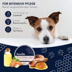 Pawlie's Pawlie’s Pfotenpflege Balsam 100ml -Ruffweal Verkaufe 4414e72f07d787db12a69fedf5823afe48e9ba64 1626196 de DE 4365dffd6d422f328ede6af1afc9d14128ef1417O2b3OO