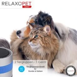 RelaxoPet EASY Tierentspannungs-Trainer Für Hunde Und Katzen -Ruffweal Verkaufe 4476be157af12df554867b6e93f144b9ceb36a4a 1396143 de DE d434b17460c4f49edf8862d0c0ea4bbeca4221e3ODM7na