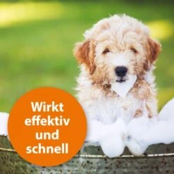 Ardap Anti Zecken Shampoo Für Hunde 250ml -Ruffweal Verkaufe 45234aab493187b4f025c9c1611ba91401852a61 1289723 de DE 011c29b51870fd299b578444e9341eb4fefc30b304XMpl