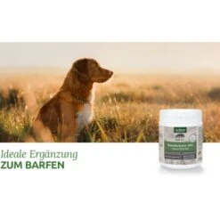 Aniforte BARF-Line Naturkräuter Mix 250g -Ruffweal Verkaufe 464ddda8fc38a6e027c6cafe7fde53f2ad109df8 1477973 de DE 4e7a685a7dd87aa68a02cfea6763367892d36c13HaZ7EK