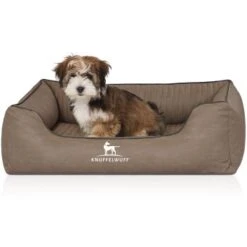 Knuffelwuff Orthopädisches Hundebett Columbia Aus Laser-gestepptem Kunstleder Stone Clay M-L -Ruffweal Verkaufe 47c92a57602f687c6095d53b46b9ef5c222ec6db 1411988 de DE 7d0d998f7e88952033b06ef3262d7d150f2bedf5NmxHjF