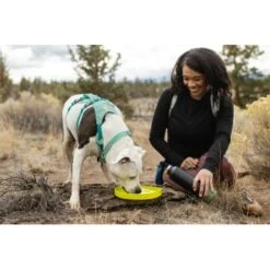 Ruffwear Camp Flyer™ Spielzeug Gelb 13 Ruffwear Camp Flyer™ Spielzeug Gelb -Ruffweal Verkaufe 48b4277ac83579c41ea67749648e39ce713fa5b3 1444349 de DE 75cbf9dd0cba03b216808483a01e9a56d83c3fddD38Kat