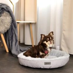 Lionto Rundes Hundebett Grau S -Ruffweal Verkaufe 495319c5e5d302912b44d9c5eec4bf5d9f8545a8 1657076 de DE aa318acd7ce25545f999031d1739d15f3d8316c0wpiYjz