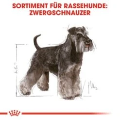 ROYAL CANIN Zwergschnauzer Adult 3kg -Ruffweal Verkaufe 4b254e5382fabcd23f48acb6657e77713d8a691f 070e96f3f4004e947ccdcc877c4e123371366cdd
