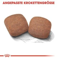 ROYAL CANIN Giant Adult 15 Kg -Ruffweal Verkaufe 4c478da0f3ca9a9bc8202b37d8335a9549df794f 3ed1e2718483704e470cb89d919125128aaf9407