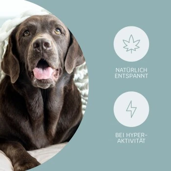 Mammaly Relax Time 110g 2 Mammaly Relax Time 110g – Bild 2