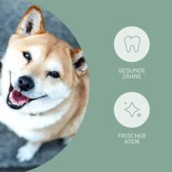 Mammaly Fresh Smile 110g 13 Mammaly Fresh Smile 110g -Ruffweal Verkaufe 4dfc3b5d73dfa91add91c3411ca4723de71754ed 1472885 3