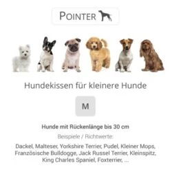 Pointer Liegekissen Urban Anthrazit M -Ruffweal Verkaufe 502aeef21c2250758631d62fea8e14cfcce727cd d0b64f8d293f427defce0ae979b315b741ab9e51