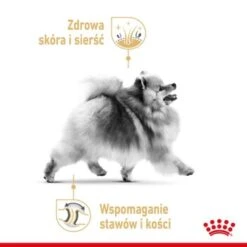 ROYAL CANIN BHN Pomeranian 1,5 Kg -Ruffweal Verkaufe 51a3cfa37cba141429871cd9fae968a18159ed03 1379877 31