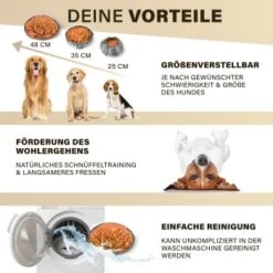 URBAN PAUL Schnüffelteppich - Grau -Ruffweal Verkaufe 52a57a465e43989eb626f909380e9a43fc6d422f 1477265 de DE 2e0326d2412135da4b4dbf18500c90d40ebe94e0B4HI12