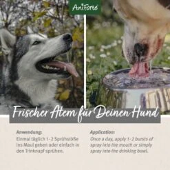 Aniforte Dentalspray Zahnpflege Spray 100ml -Ruffweal Verkaufe 5407327dc1ff8b3c62918c78a261300c797ac1a5 1439278 de DE d65d8e1ebeada7690aae8d6a4c6fc70cb3dbb3e9igaN3s