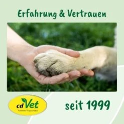 DentaVet Gel 35g 15 DentaVet Gel 35g -Ruffweal Verkaufe 545e087e057912f1eb130f03a5533927e129f40b 1249039 de DE f215127866d604991b4efc218004018ddf4470952Q2KTf