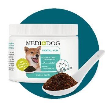MediDog Dental Yum 1 MediDog Dental Yum