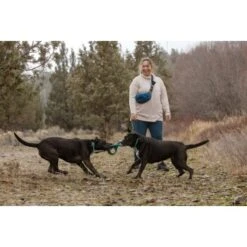 Ruffwear Pacific Ring™ Spielzeug Blau/ Türkis -Ruffweal Verkaufe 55dba30b9a5e3fc77d29bb72e0dc6fad83c40ffc 1444351 de DE 8a3b2d989e7fae2c85eabfcfca3bb7709484f9a3jKDH9l