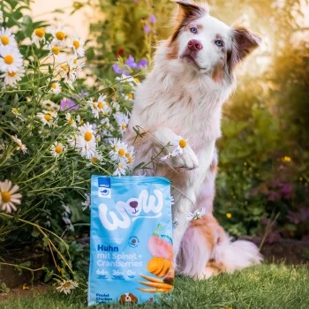 WOW Adult Huhn Mit Spinat 6 Kg 2 WOW Adult Huhn Mit Spinat 6 Kg – Bild 2