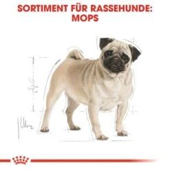 ROYAL CANIN Mops Adult 3 Kg 10 ROYAL CANIN Mops Adult 3 Kg -Ruffweal Verkaufe 589e30903e56ad792aa772c50bdee71a9cf194bc e4918d62ef4cc7e4fc1b441cbb18a65f4eacd496