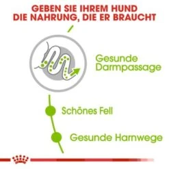 ROYAL CANIN X-Small Adult 3 Kg 12 ROYAL CANIN X-Small Adult 3 Kg -Ruffweal Verkaufe 58f2423fb86c25b505a4102b858daa4bc9206b45 dcc1a65d2eb68e73b605a99ea204669ed2bf4d74