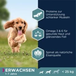 EUKANUBA Adult Small & Medium Breed Lachs 12kg -Ruffweal Verkaufe 5933f8752d3e56543c86195fc7fc048ee244f003 87fd8c6c7395e3c5af5bdc8f2510da668a11f0d1