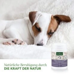 Aniforte Calm & Relax Kräuter 100g -Ruffweal Verkaufe 59d8edf488dbbfa5326d02c9bc480ebe764b40aa 1477975 de DE 8fdc0dbb13dd77bc918a019d832ea481c7670a35vrdXJ1