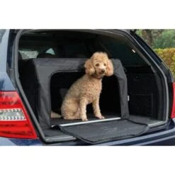 AniOne Traveller S -Ruffweal Verkaufe 5d5fd4e458250b214c993aa0d93f52563cbe2d68 1367559 de DE AniOne Traveller wb 8