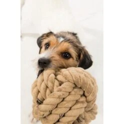 Trixie BE NORDIC Tau-Ball 18cm -Ruffweal Verkaufe 5d869bc7db02b7e845c1175f2c29e4b87c83aa5e 1317741 de DE Trixie be nordic Tau Ball wb 3