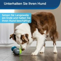 PetSafe Elektronisches Hundespielzeug Ricochet -Ruffweal Verkaufe 5eadda9b8e1c472d17e8160a968897c5f1589a26 1418724 de DE f0080b3bce77c44349e2b70b9453ceaf44e2d3d6nqnVTG