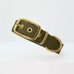 THE DOG IDEA Biothane Halsband Gold Khaki M -Ruffweal Verkaufe 5f39446a1ee14dab16a89a3689929003861983a8 1655419 de DE fdcb084ec6e1b995d3a74426085016a70227a578xTiAJp