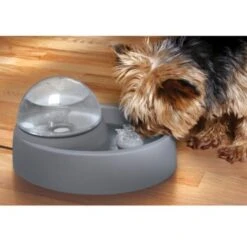 Numaxes Eyenimal Trinkbrunnen 1,5l -Ruffweal Verkaufe 612512ae3e55fd25731acfc2a0abcdc5bfeba8fb b7754bc2b320ccef10b70045a810474d6996a8cb